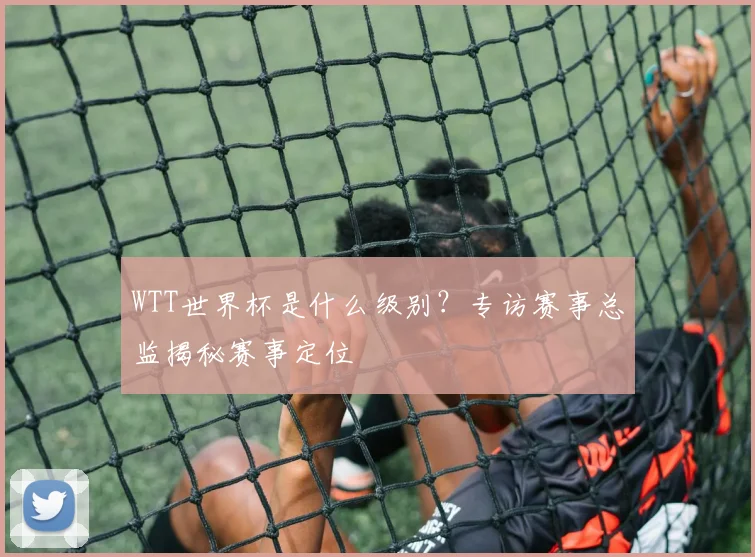 WTT世界杯是什么级别?专访赛事总监揭秘赛事定位