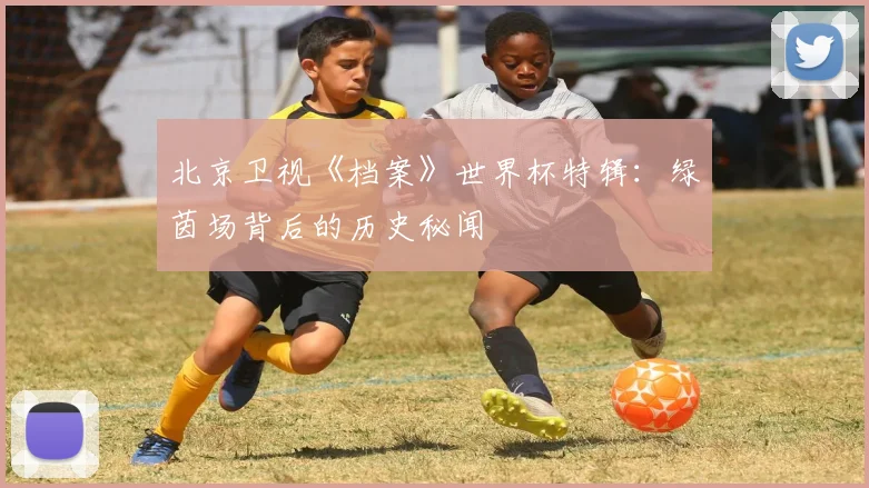 北京卫视《档案》世界杯特辑:绿茵场背后的历史秘闻