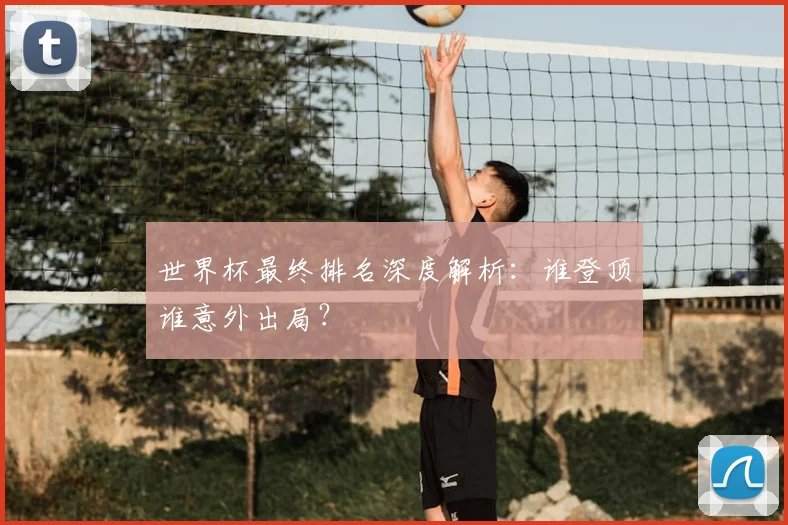 世界杯最终排名深度解析：谁登顶谁意外出局？
