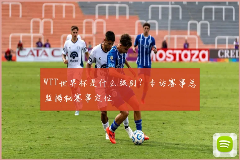 WTT世界杯是什么级别?专访赛事总监揭秘赛事定位